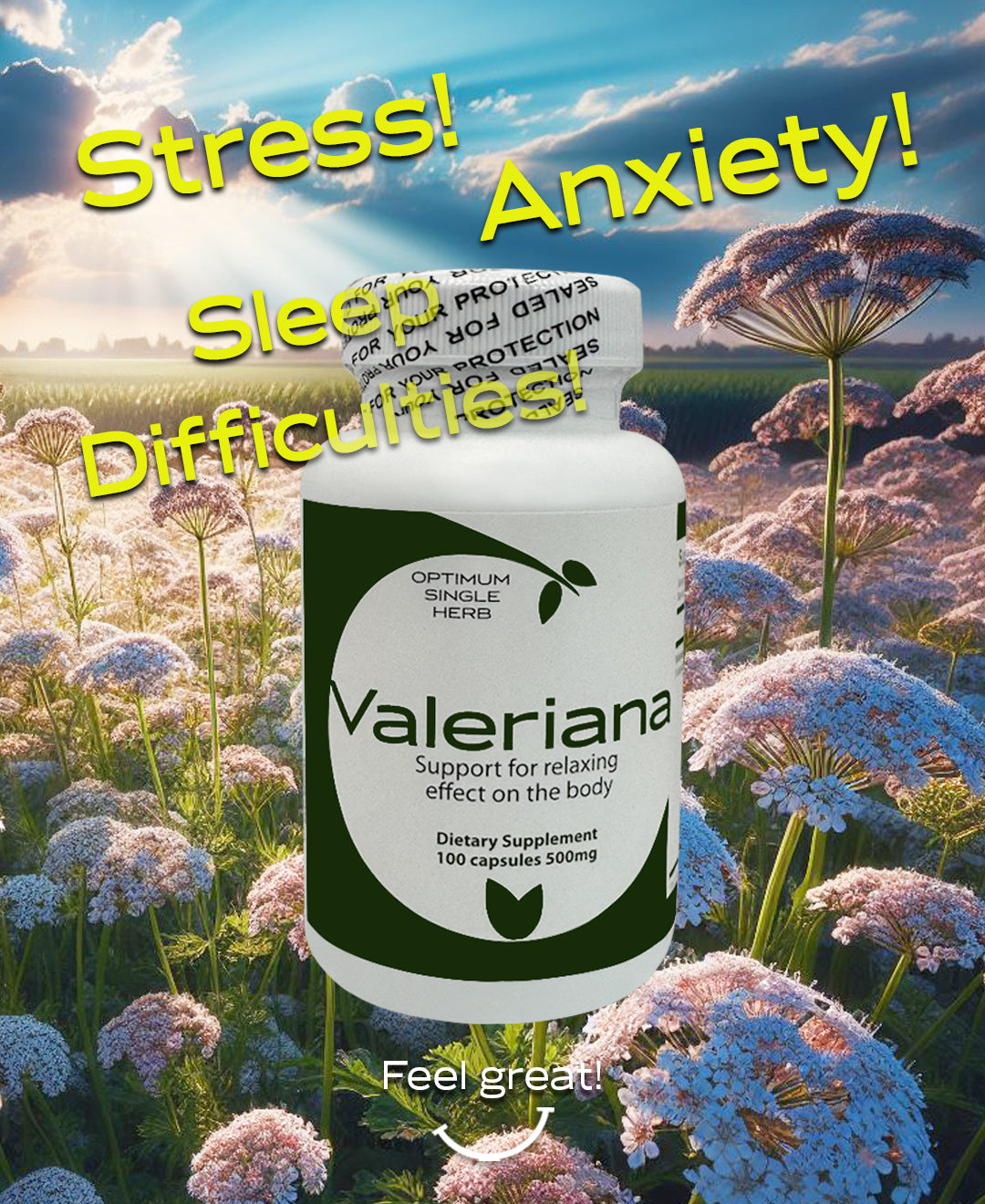 Valeriana Sleep Support - 100 Capsules, 500 mg