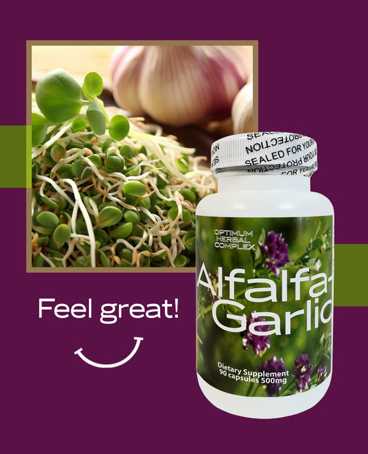 Alfalfa-Garlic 90 Capsules 500mg by Herza International, herbal supplement for heart health.