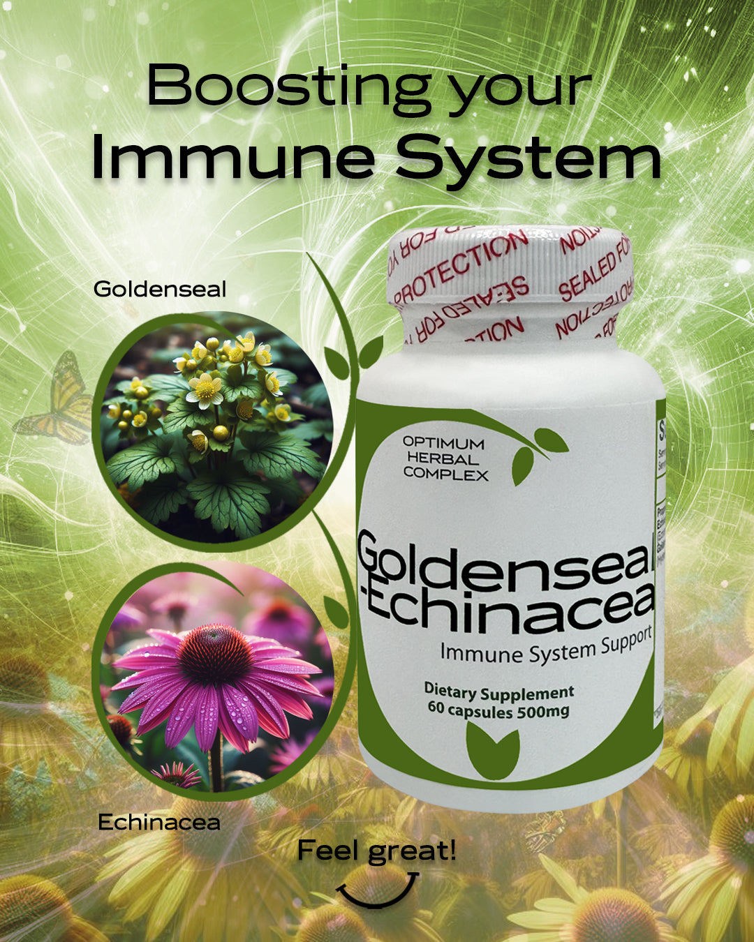Goldenseal-Echinacea - 60 capsules - 500 mg | Immune Support