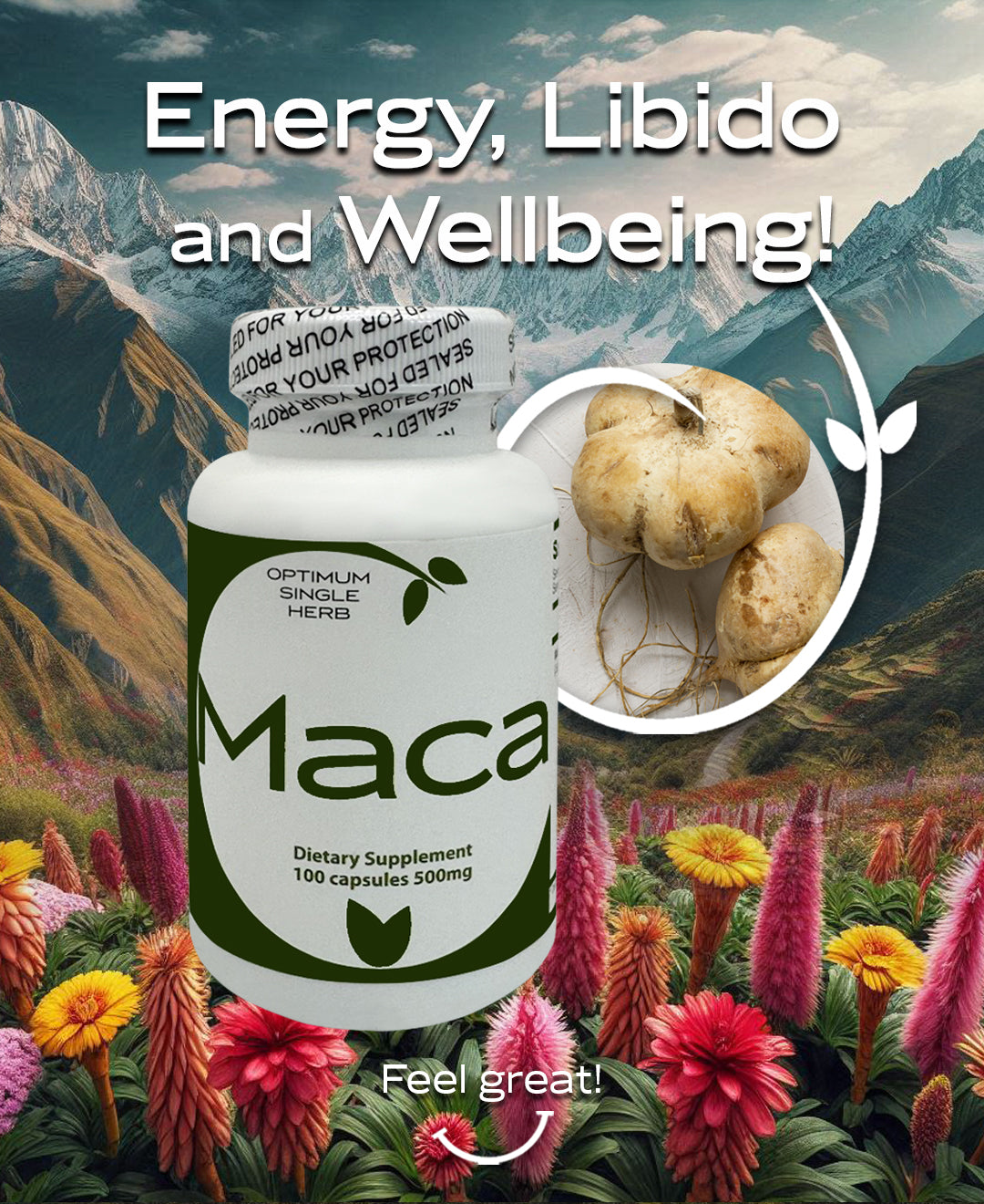 A bottle of 100 Maca root extract capsules, each containing 500mg of pure Maca root extract.