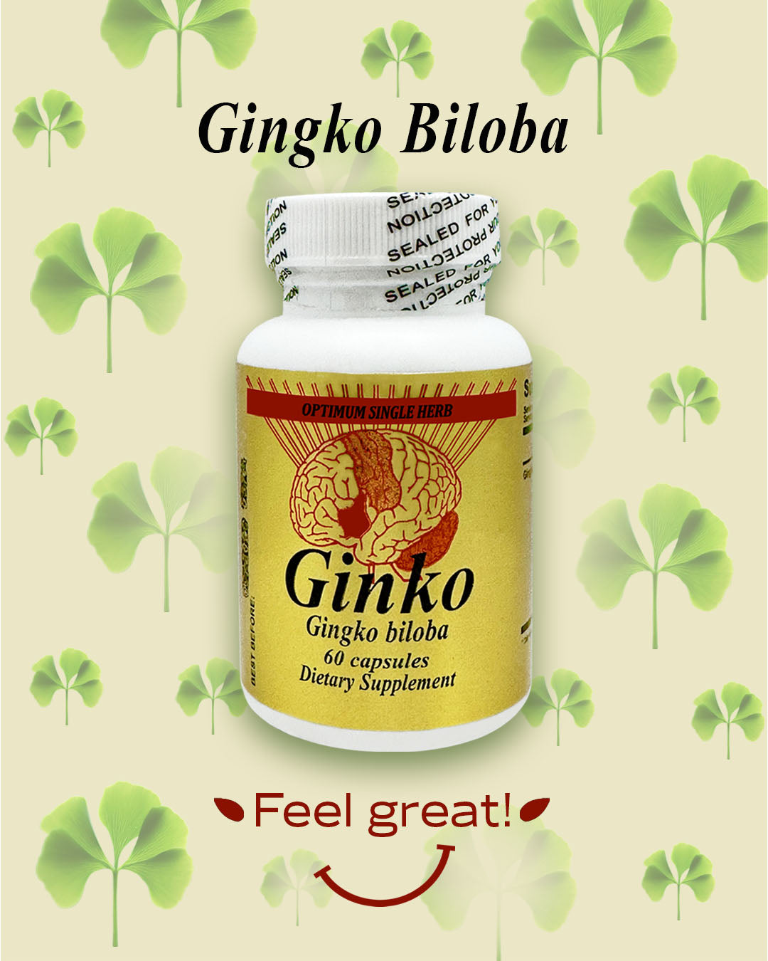 Ginko - 60 capsules - 500mg