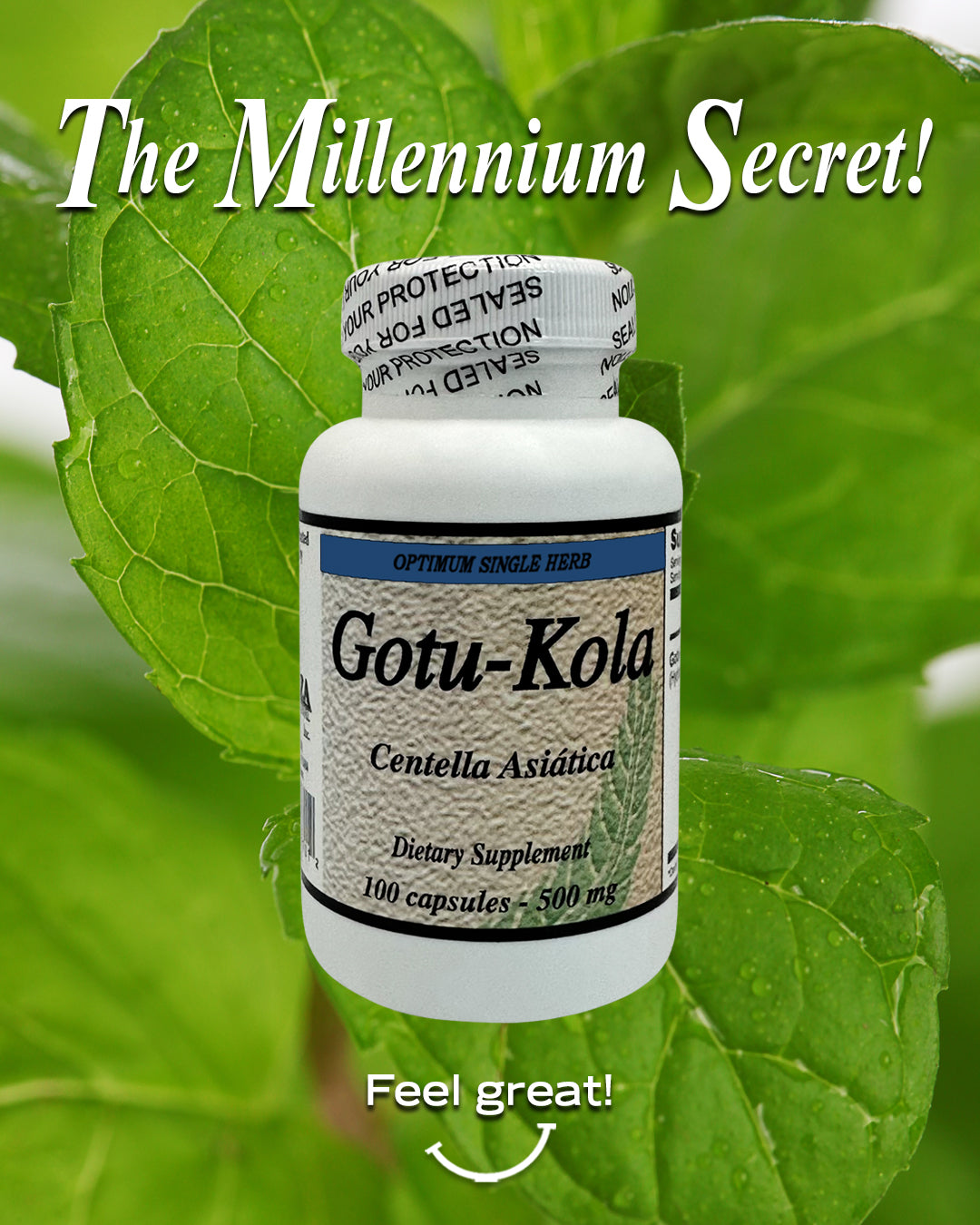 A bottle of Gotu Kola capsules for improved cognitive function and relaxation.