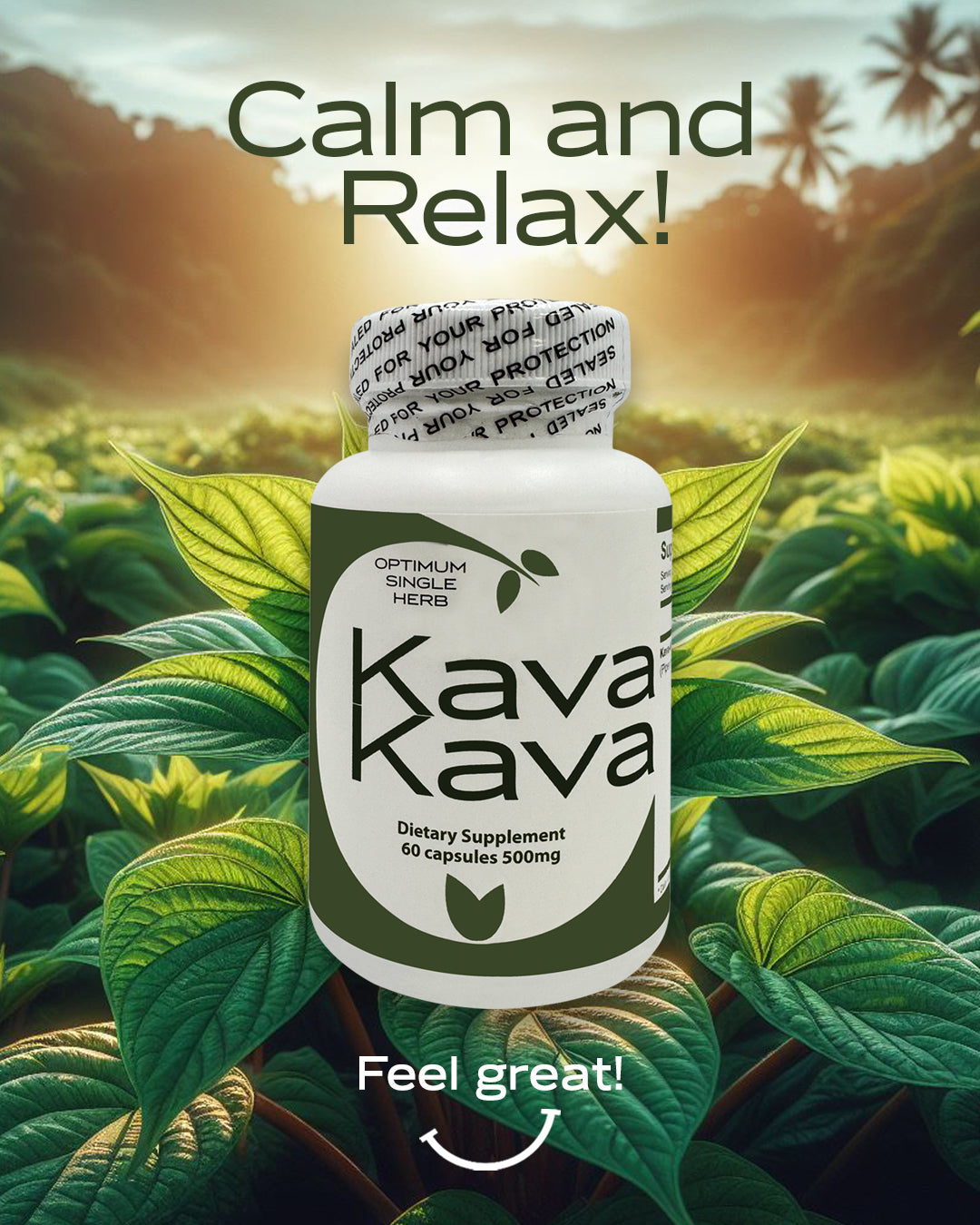 A bottle of 60 Kava Kava root extract capsules, each containing 500mg of pure Kava Kava root extract.