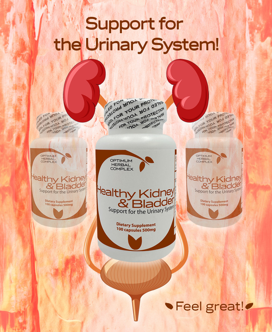 Healthy Kidney & Bladder 100 Capsules 500mg - Herbal Supplement for Kidney Support