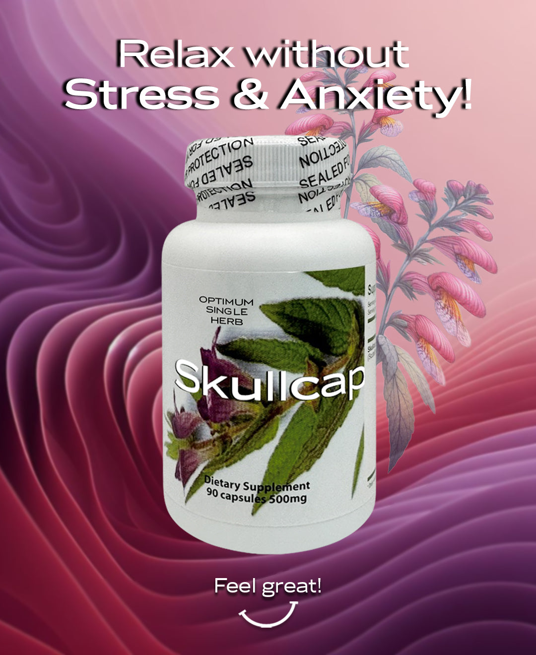 A bottle of 90 Skullcap extract capsules, each containing 500mg of pure Skullcap extract.