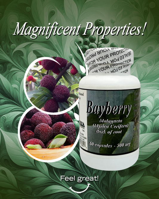 Bayberry | Support Digestive & Immune Health 60 capsules - 500mg