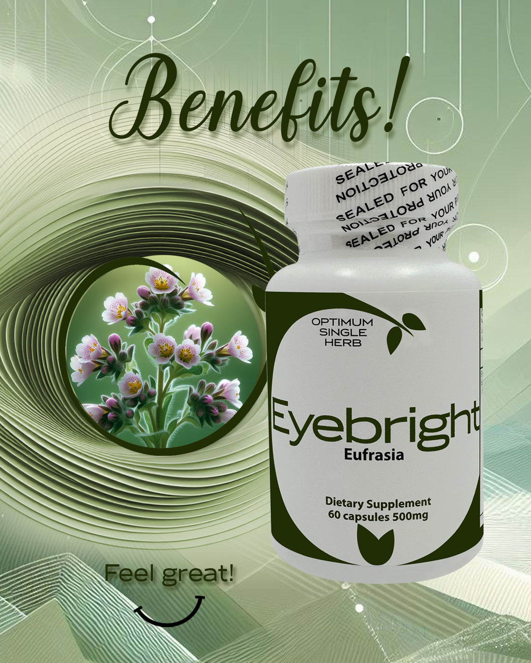 Eyebright 60 capsules 500mg | Eye Support Capsules