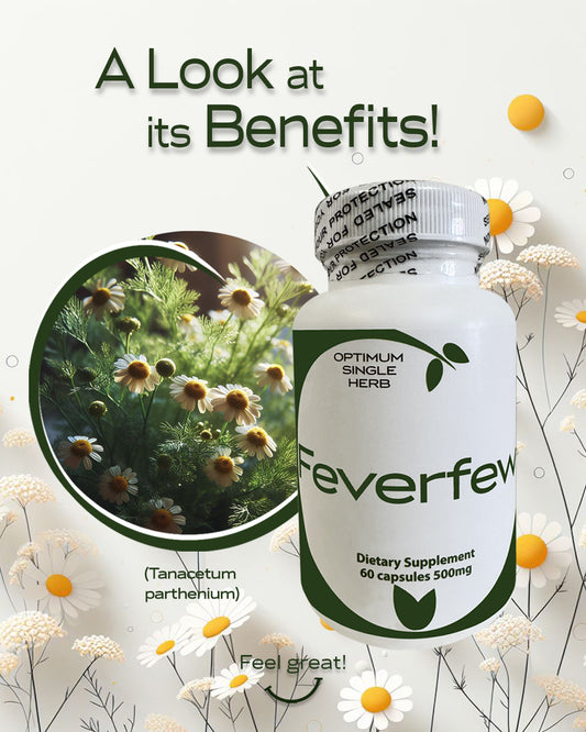 Feverfew 60 Capsules 500mg - Natural Migraine Relief Supplement