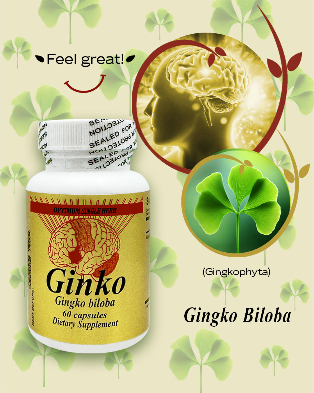 Bottle of Ginkgo Biloba 500mg capsules, supporting mental clarity and brain health.