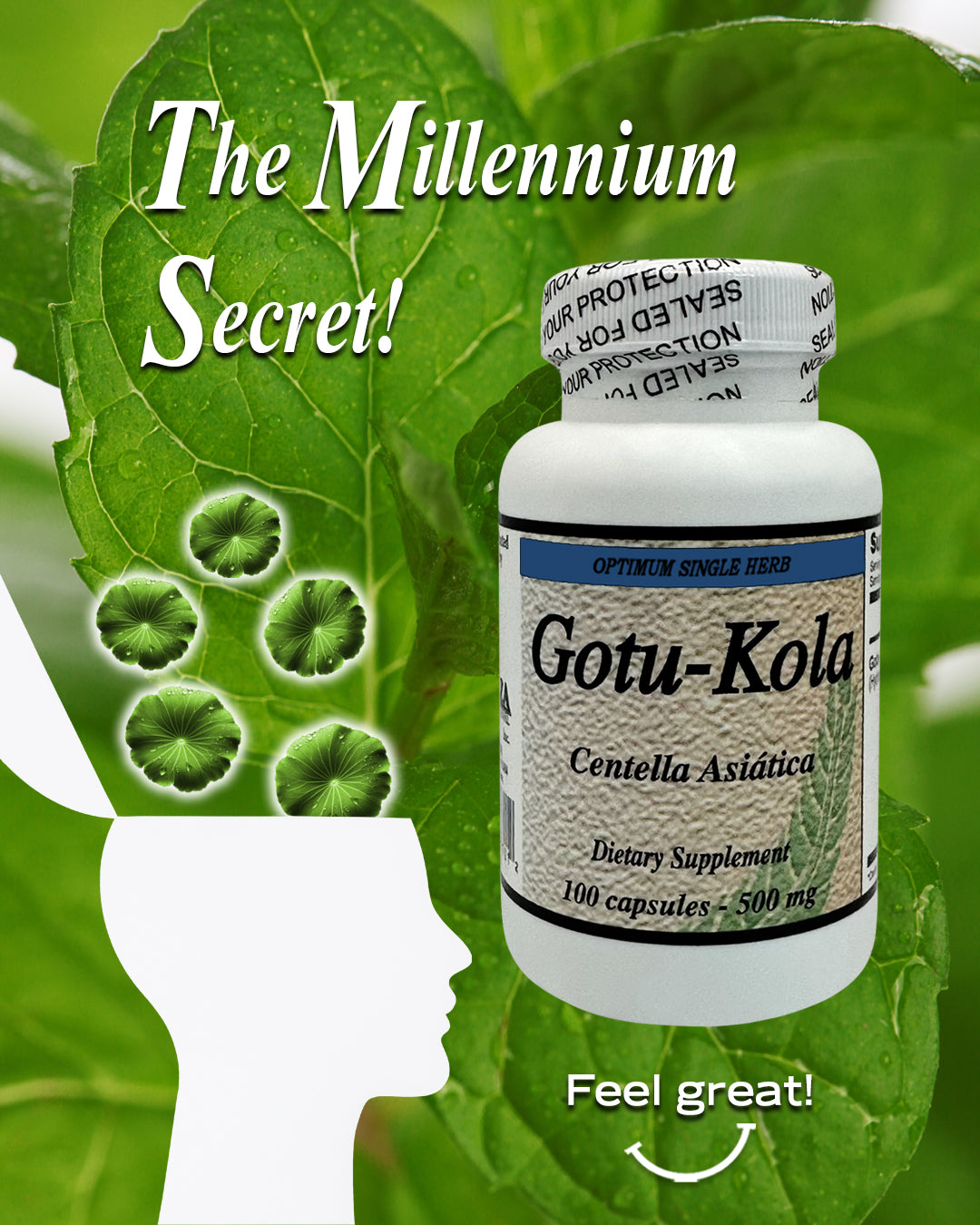 Gotu-Kola Cognitive Support Capsules 100 capsules 500mg