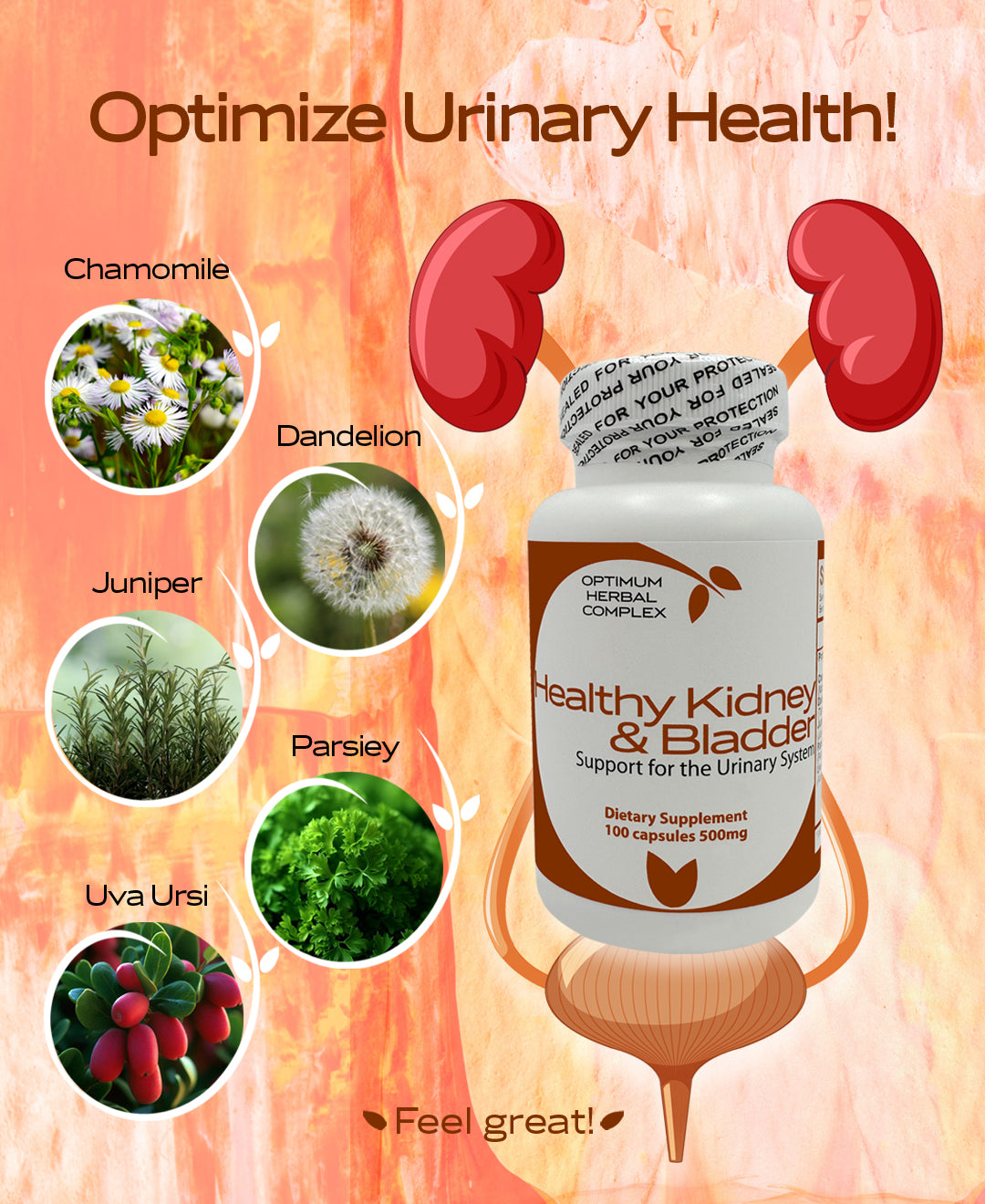Healthy Kidney & Bladder 100 capsules 500mg | Herbal Blend for Urinary Tract Support