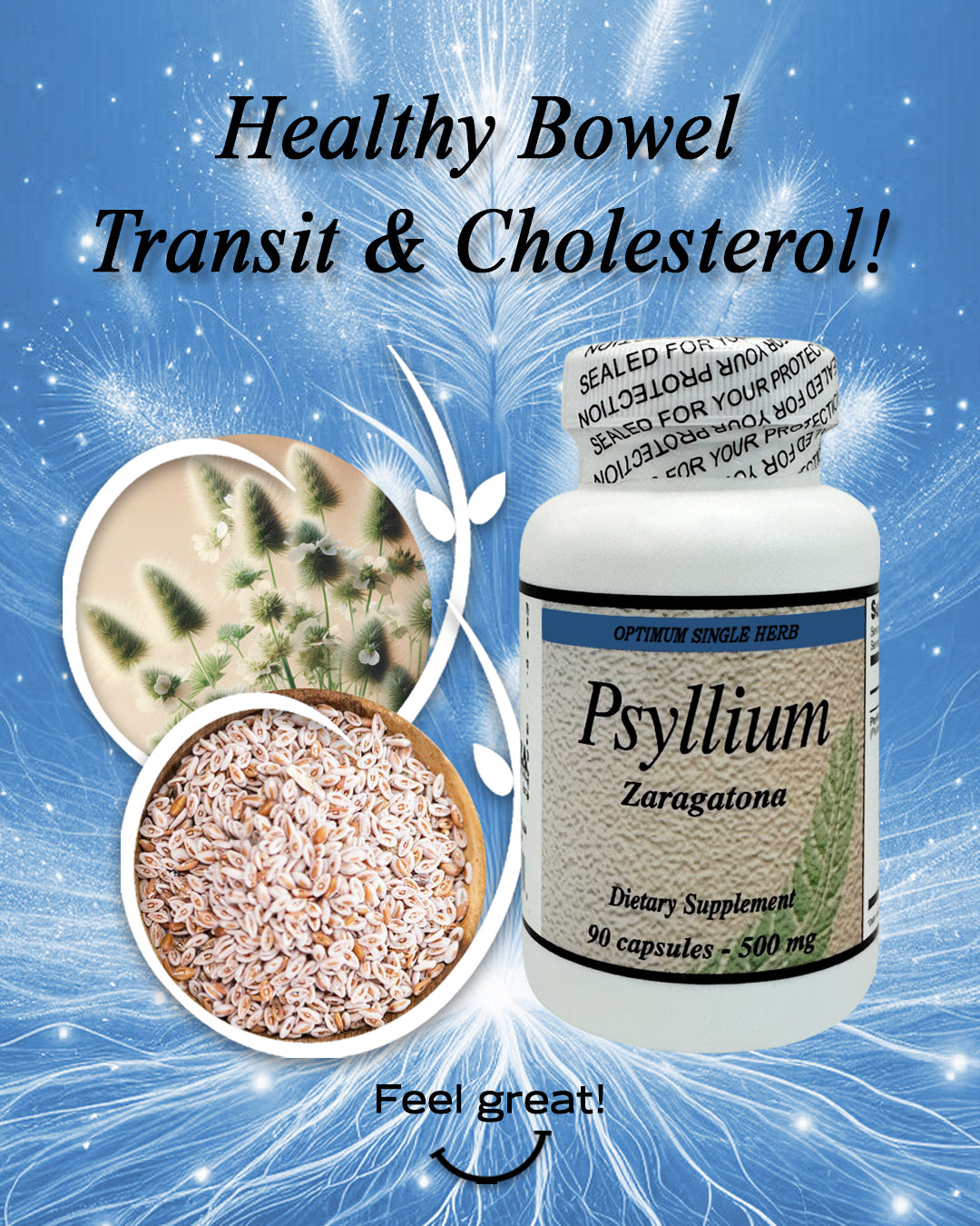 Psyllium 90 capsules | Natural Fiber Supplement for Digestive Health