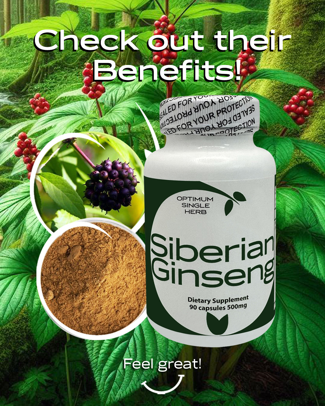 Siberian Ginseng - 90 Capsules, 500mg