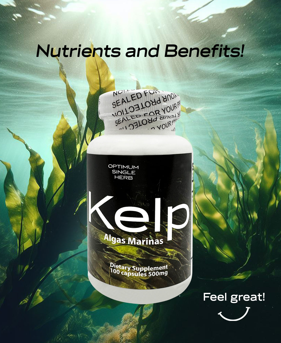 Kelp 100 capsules 500mg