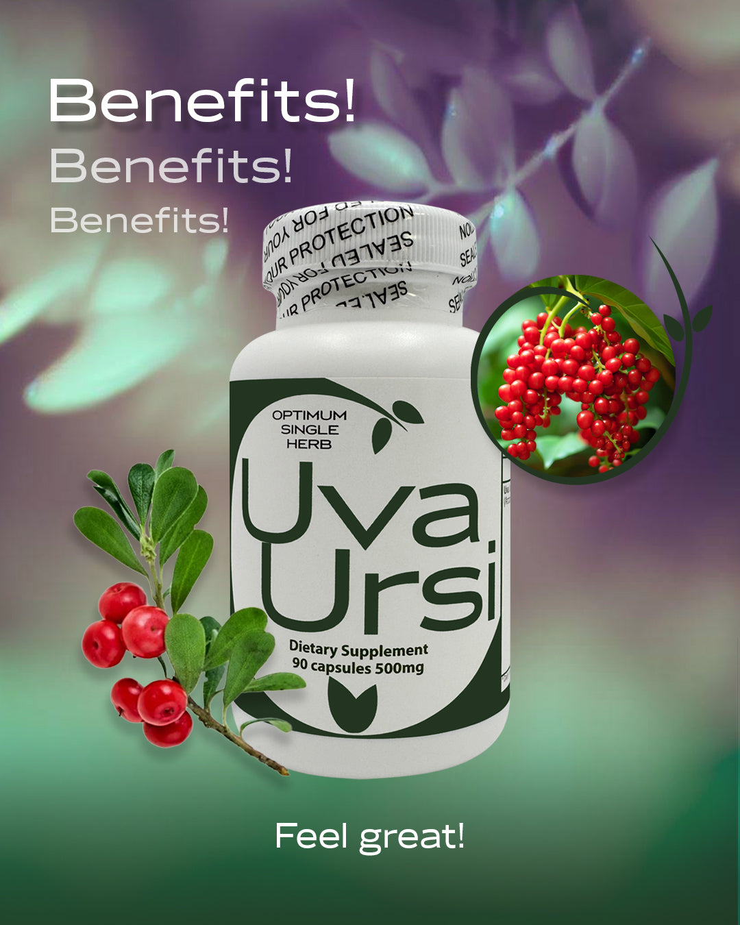 A bottle of Uva Ursi capsules for urinary tract support.