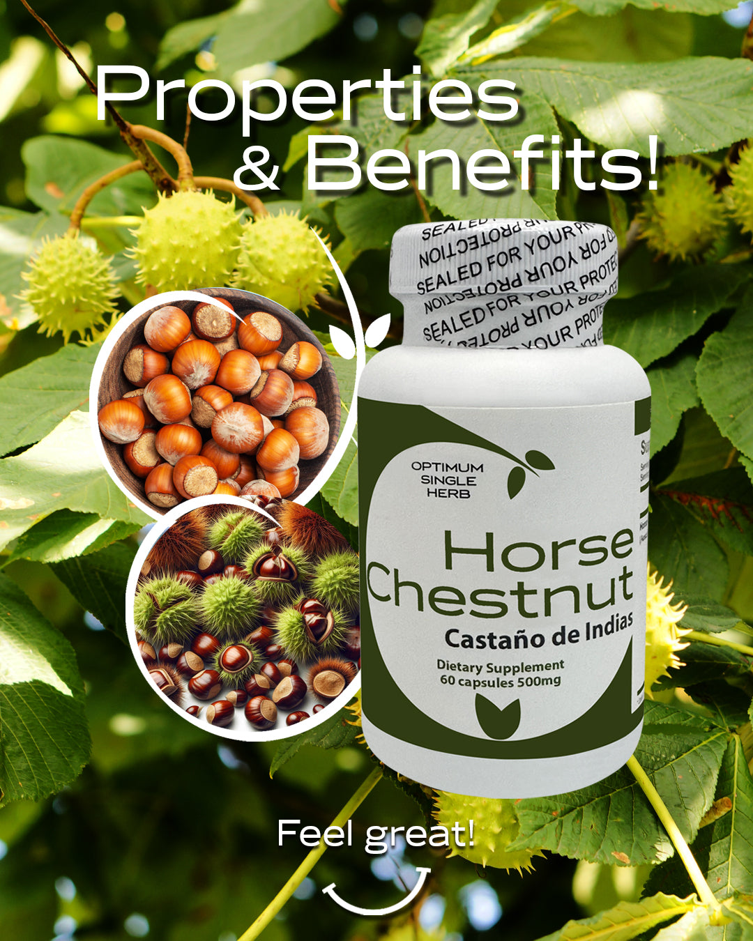 Horse Chestnut Capsules - 60 Capsules, 500 mg