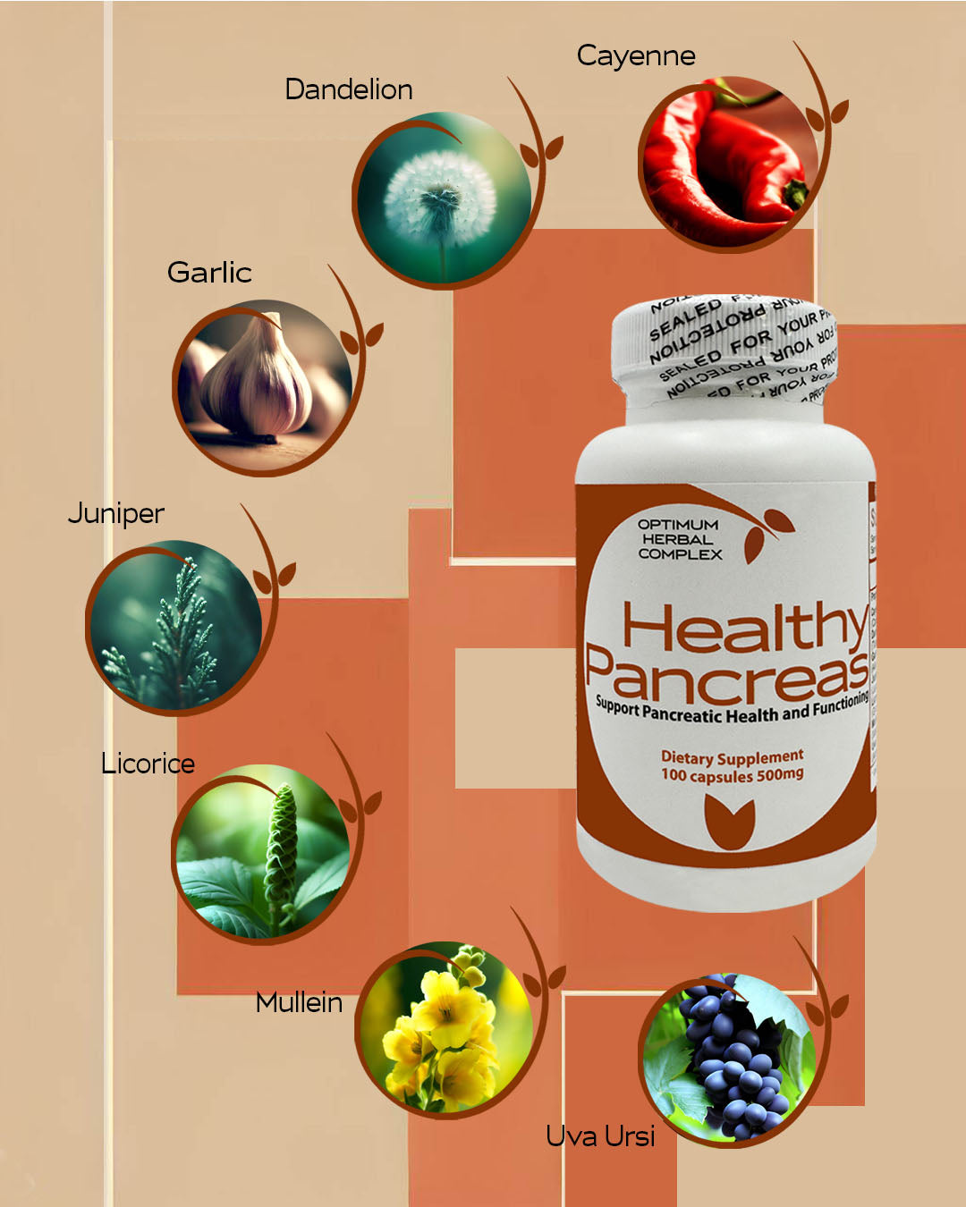 Healthy Pancreas - 100 capsules - 500 mg | Pancreatic Support Herbal Blend