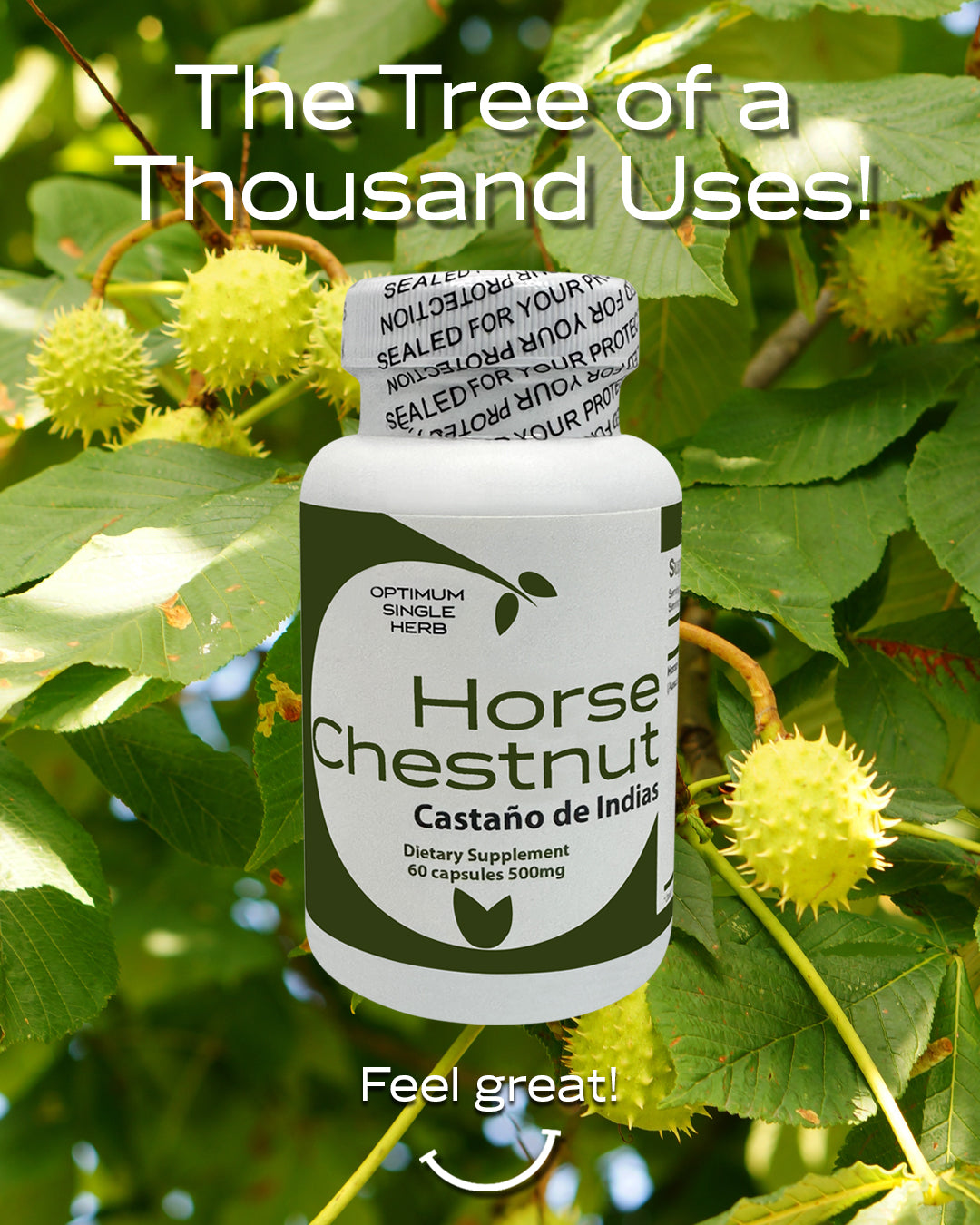 Horse Chestnut Capsules - 60 Capsules, 500 mg