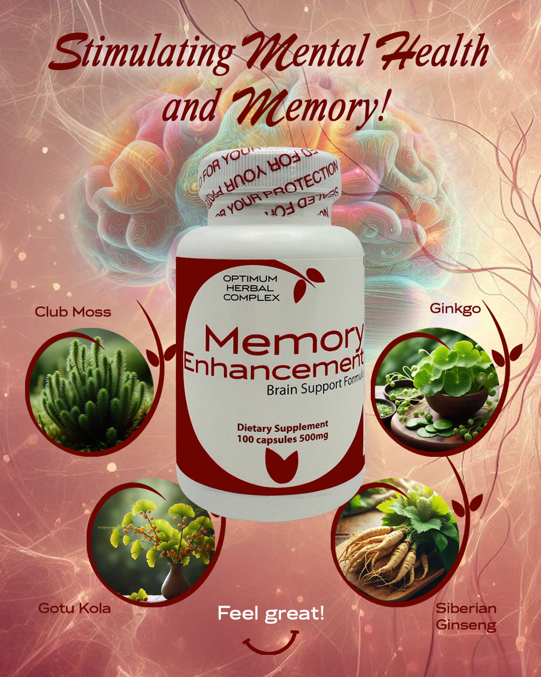 Herbal supplement Memory Enhacement, featuring Ginkgo, Gotu Kola, and Siberian Ginseng, designed to support cognitive function and mental clarity.