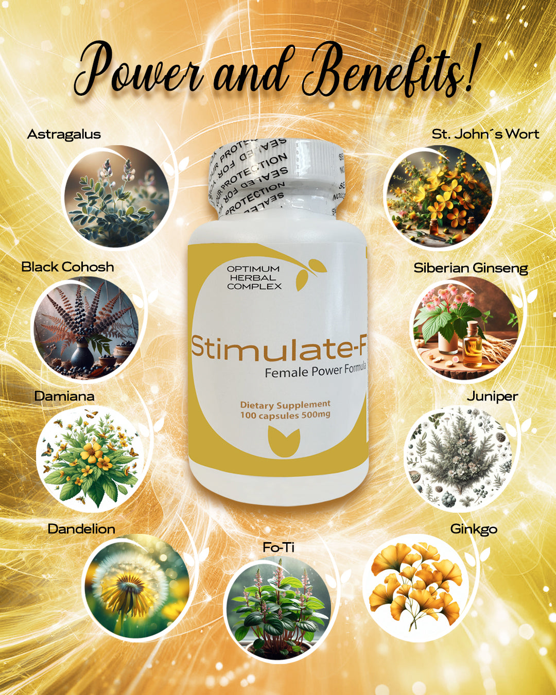 Stimulate-F 100 capsules 500 mg |Herbal Vitality Blend for Women