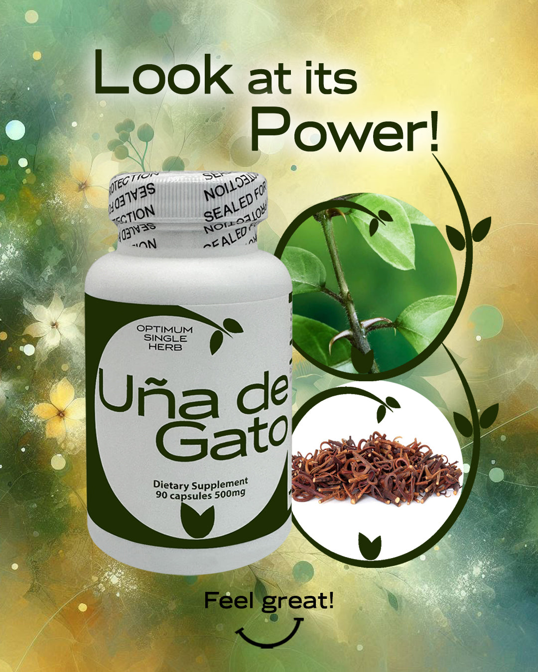 Cat’s Claw 90 Capsules 500mg by Herza International, herbal supplement for immune health.