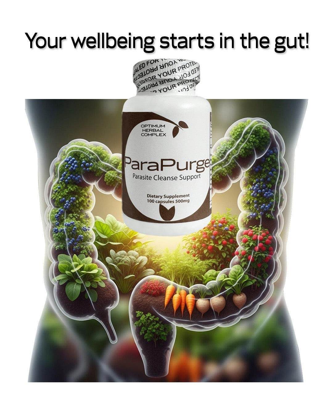 Parapurge 100 capsules - 500mg