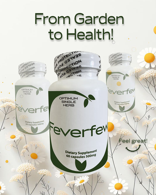 Feverfew 60 Capsules 500mg - Herbal supplement bottle with capsules