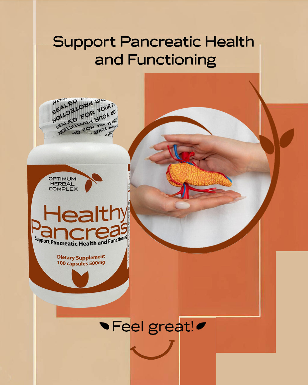 Healthy Pancreas - 100 capsules - 500 mg | Pancreatic Support Herbal B ...